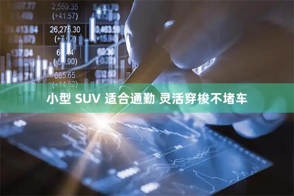 小型 SUV 适合通勤 灵活穿梭不堵车