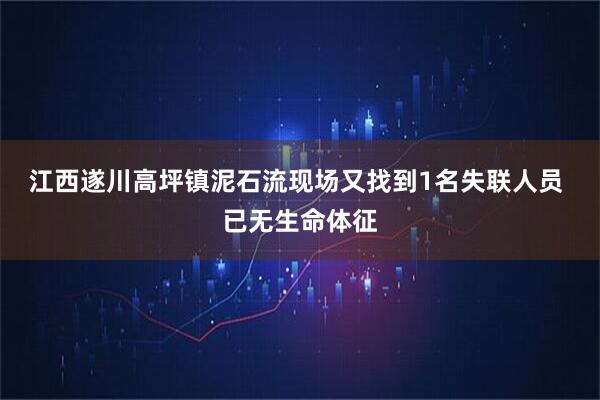 江西遂川高坪镇泥石流现场又找到1名失联人员 已无生命体征
